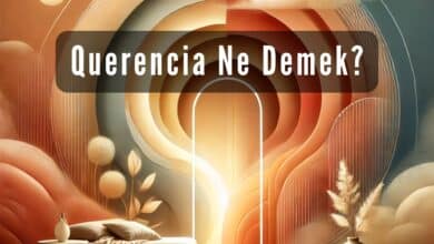 Querencia Ne Demek