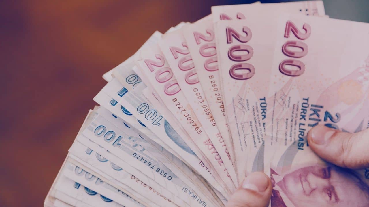 Vatandaşlık Maaşı Nedir