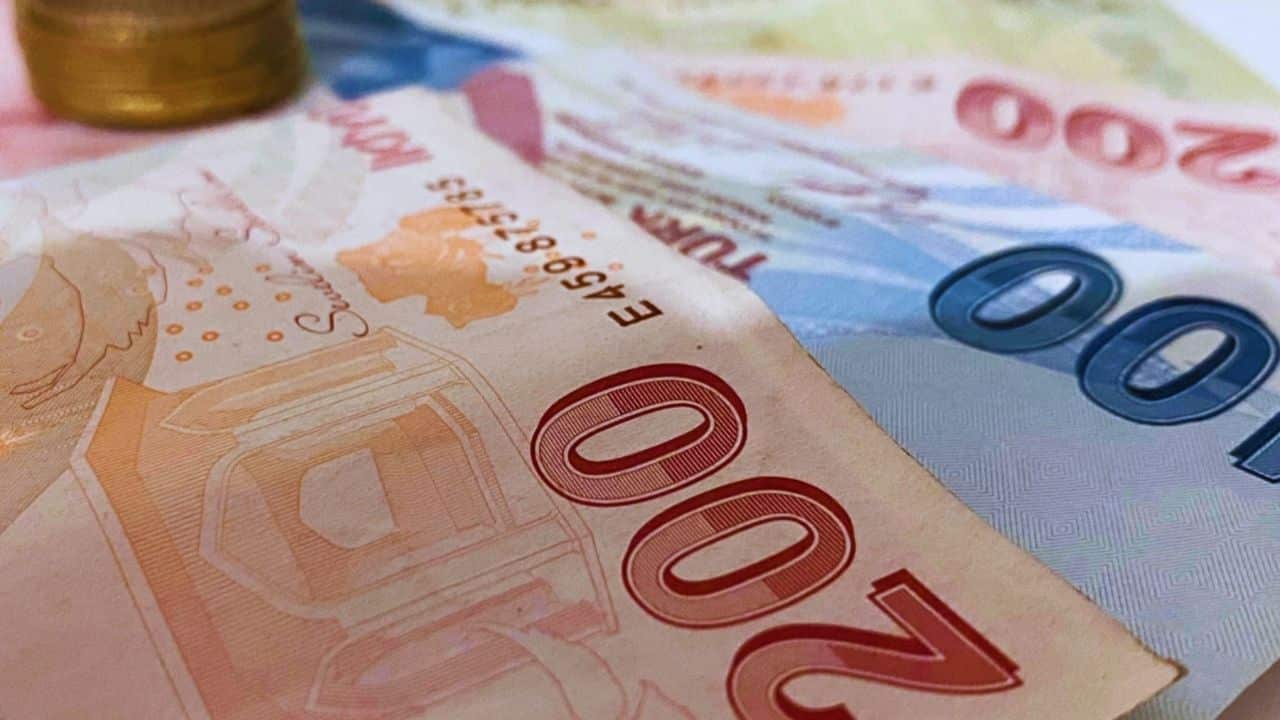 Vatandaşlık Maaşı Nedir