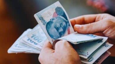 Vatandaşlık Maaşı Nedir