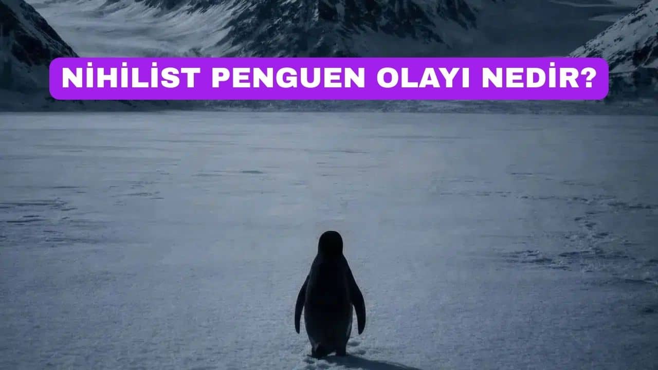 Nihilist Penguenin Hikayesi