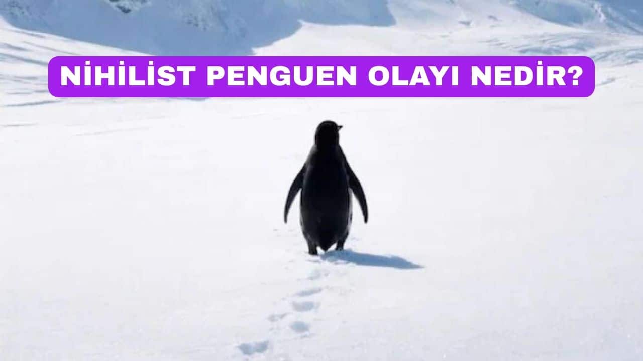 Nihilist Penguenin Hikayesi