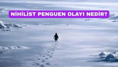 Nihilist Penguenin Hikayesi