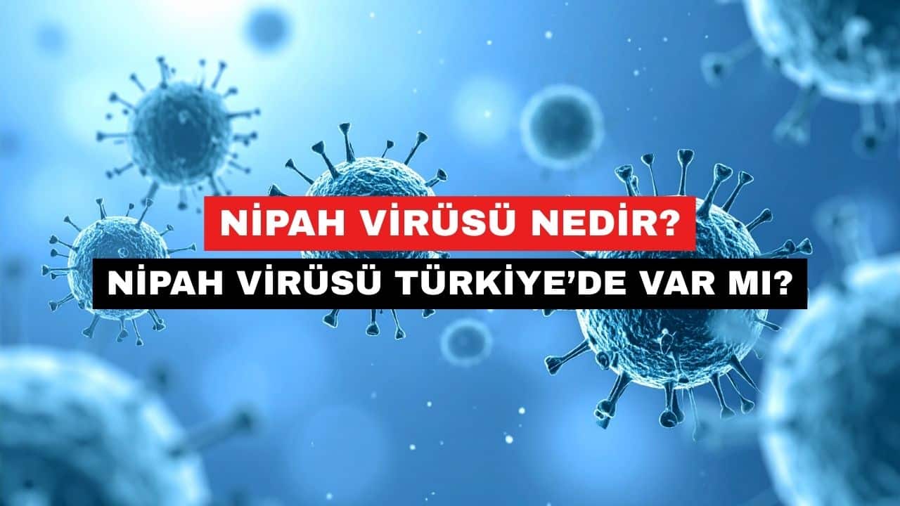 Nipah Virüsü Nedir
