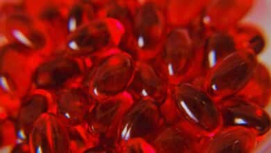 Krill Yağı Ne İşe Yarar