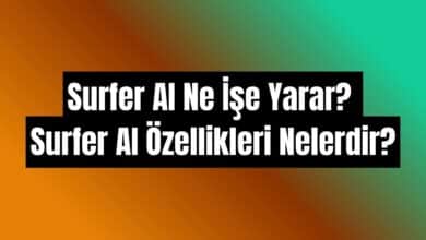 Surfer AI ne işe yarar