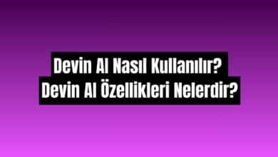 Devin AI nasıl kullanılır