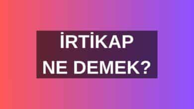 İrtikap Ne Demek