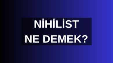 Nihilist Ne Demek