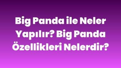 Big Panda ile Neler Yapılır
