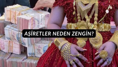 Aşiretler Neden Zengin?
