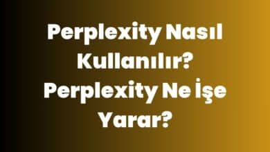 Perplexity Ne İşe Yarar