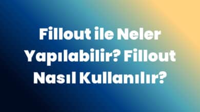 Fillout ile neler yapılabilir