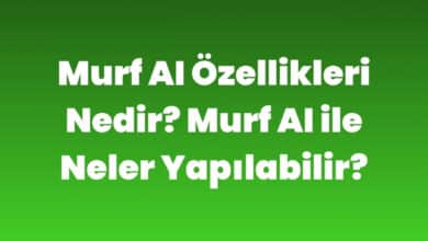 Murf AI Özellikleri