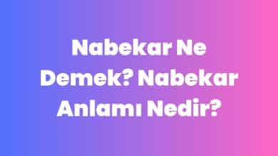 Nabekar Ne Demek? Nabekar Anlamı Nedir?