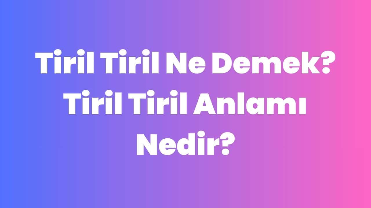 Tiril Tiril Ne Demek? Tiril Tiril Anlamı Nedir?