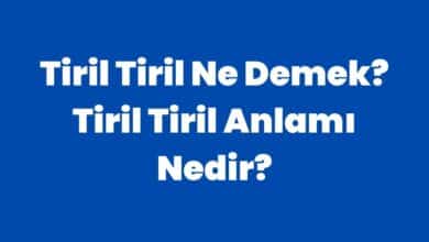 Tiril Tiril Ne Demek
