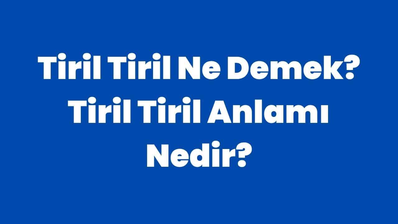 Tiril Tiril Ne Demek