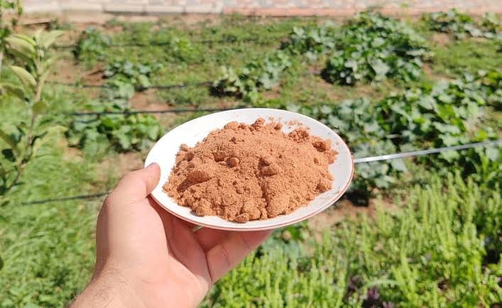 İğde Çekirdeği Tozu Nasıl Kullanılır?