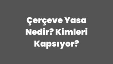 Çerçeve Yasa