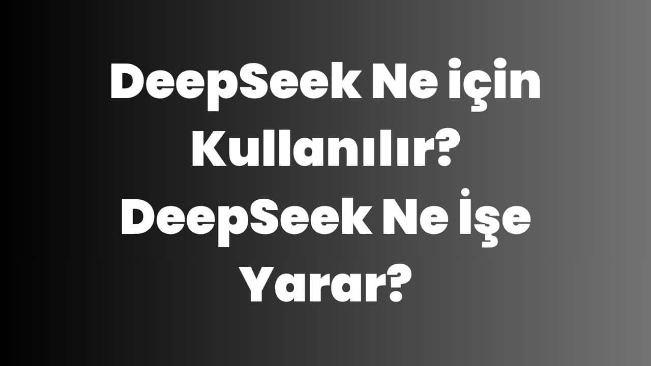 DeepSeek Ne için Kullanılır