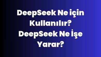 DeepSeek Ne için Kullanılır