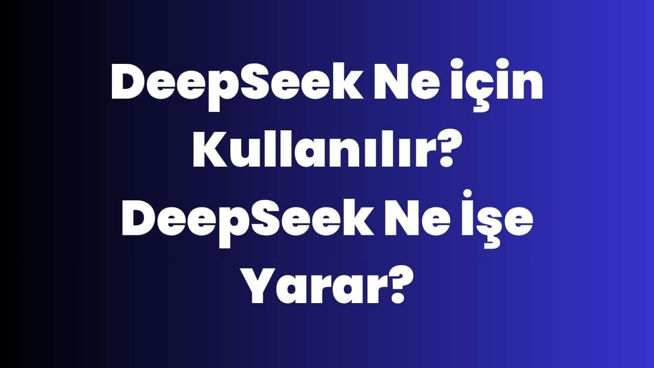 DeepSeek Ne için Kullanılır