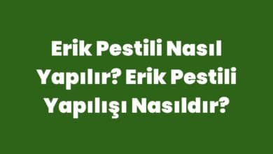 Erik Pestili Nasıl Yapılır