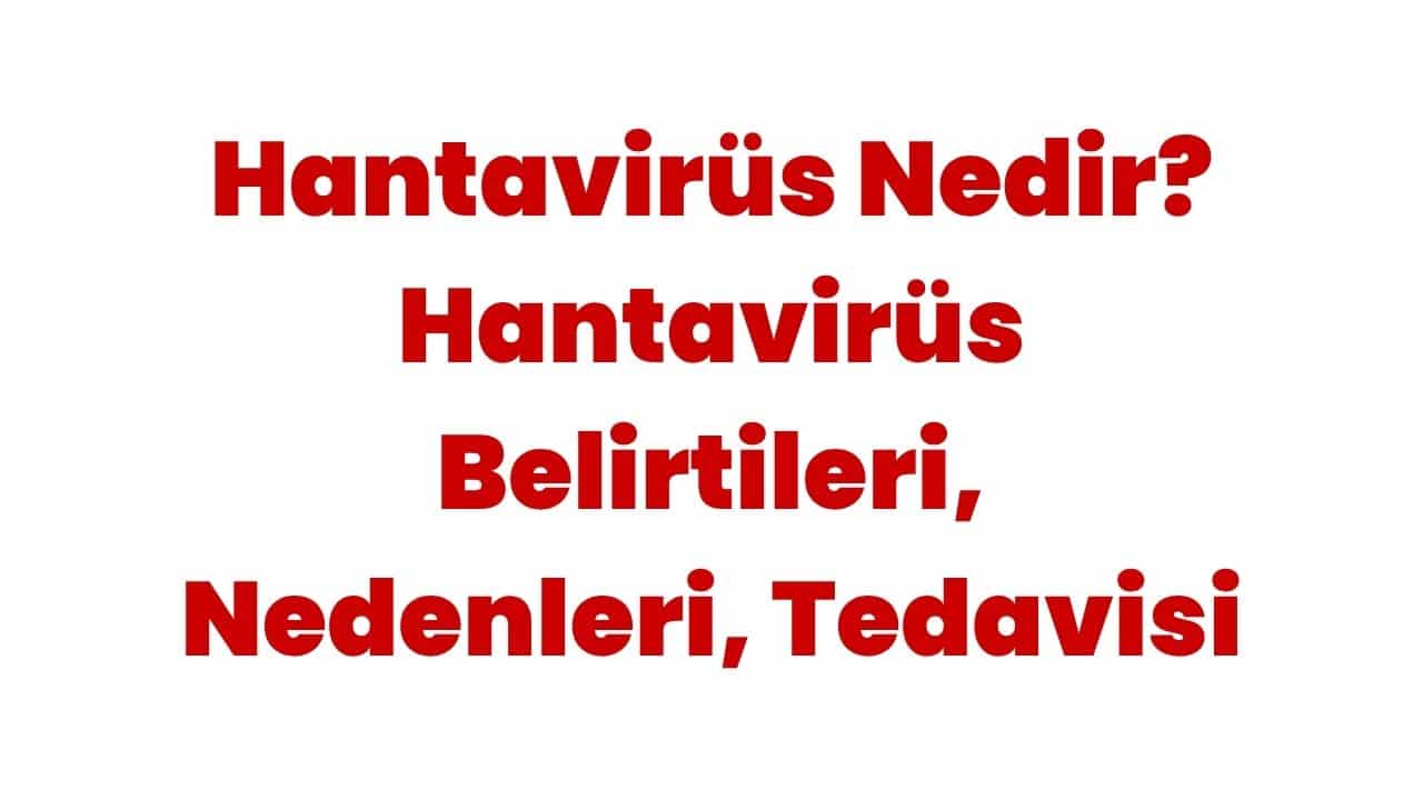 Hantavirüs 
