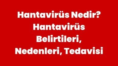 Hantavirüs