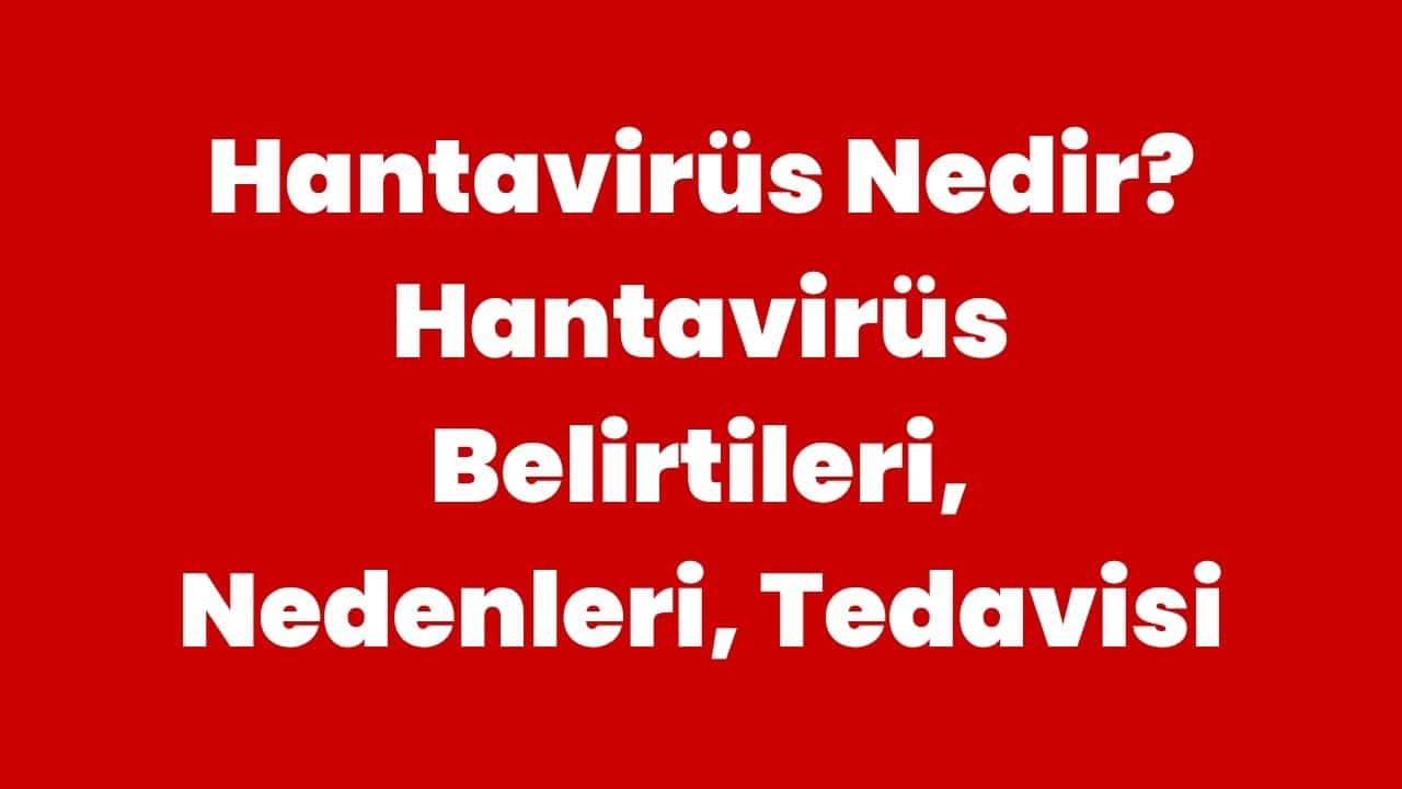 Hantavirüs