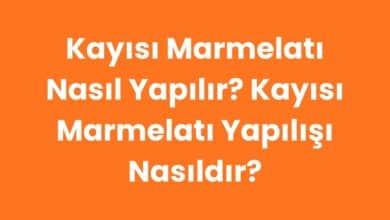Kayısı marmelatı nasıl yapılır